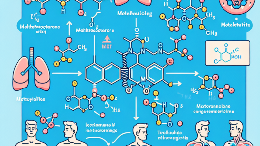 Metabolites of methyltestosterone and their activity